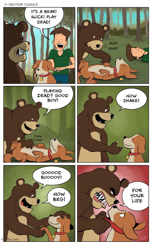 BEAR* Comic Studio - make comics & memes with BEAR* characters