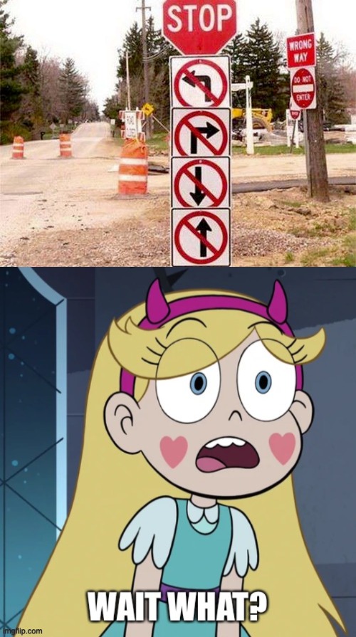 WHAT?!?!?! | image tagged in star butterfly wait what,star vs the forces of evil,signs,memes,funny,stupid signs | made w/ Imgflip meme maker