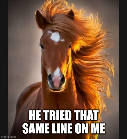 Horse | HE TRIED THAT SAME LINE ON ME | image tagged in horse | made w/ Imgflip meme maker