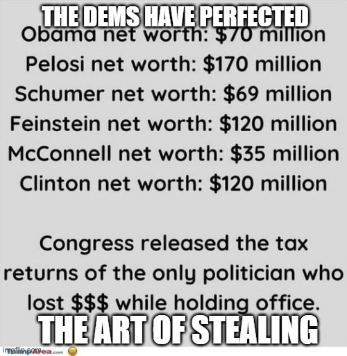 Stealing Perfected | THE DEMS HAVE PERFECTED; THE ART OF STEALING | image tagged in stealing perfected | made w/ Imgflip meme maker
