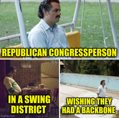 Enjoy your two years being part of the radical rights plans. Because your districts will vote you out for supporting Maga over t | REPUBLICAN CONGRESSPERSON; IN A SWING DISTRICT; WISHING THEY HAD A BACKBONE | image tagged in memes,sad pablo escobar | made w/ Imgflip meme maker