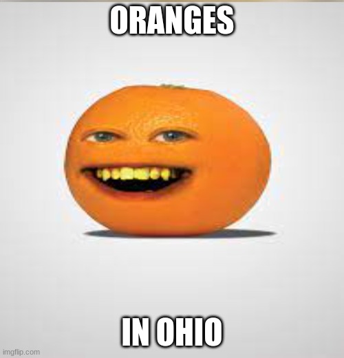 Ohio | ORANGES; IN OHIO | image tagged in memes | made w/ Imgflip meme maker