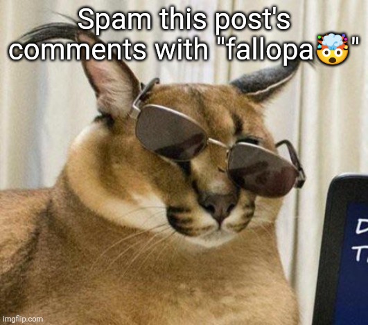 MR FLOPPPPAAA | Spam this post's comments with "fallopa🤯" | image tagged in mr floppppaaa | made w/ Imgflip meme maker