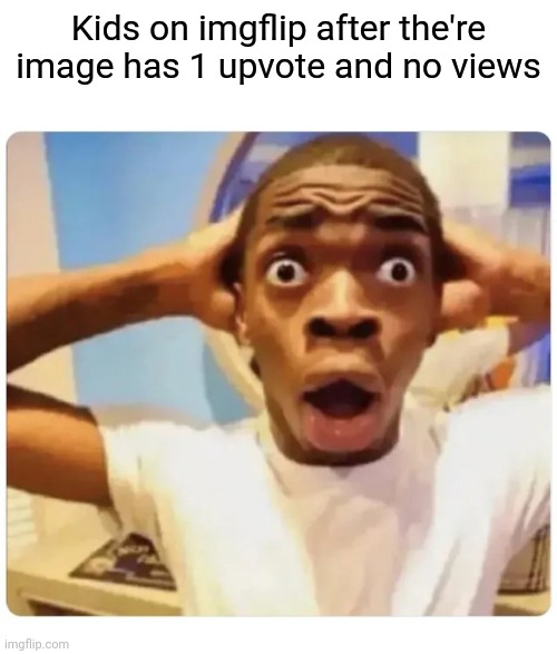 Happens all the time nothing rare | Kids on imgflip after the're image has 1 upvote and no views | image tagged in black guy suprised | made w/ Imgflip meme maker