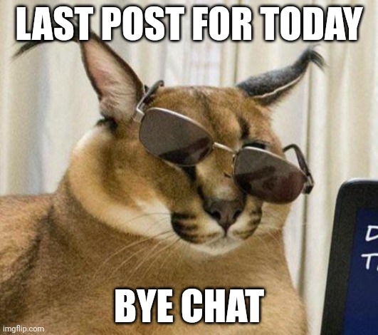 MR FLOPPPPAAA | LAST POST FOR TODAY; BYE CHAT | image tagged in mr floppppaaa | made w/ Imgflip meme maker