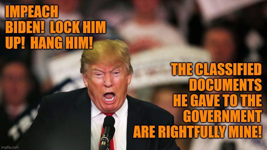 Trump yelling | IMPEACH BIDEN!  LOCK HIM UP!  HANG HIM! THE CLASSIFIED DOCUMENTS HE GAVE TO THE GOVERNMENT ARE RIGHTFULLY MINE! | image tagged in angry toddler,investigation,why not both,mistakes make you stronger,gop hypocrite | made w/ Imgflip meme maker