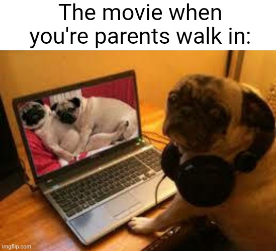 Pug |  The movie when you're parents walk in: | image tagged in pugs | made w/ Imgflip meme maker
