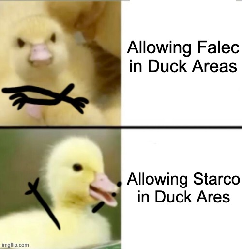 Quack Quack! | Allowing Falec in Duck Areas; Allowing Starco in Duck Ares | image tagged in drake duck,falec,starco,ducks,memes,quack | made w/ Imgflip meme maker