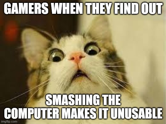 shocked cat | GAMERS WHEN THEY FIND OUT; SMASHING THE COMPUTER MAKES IT UNUSABLE | image tagged in shocked cat | made w/ Imgflip meme maker