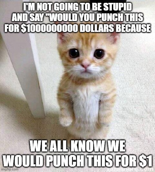 SOO TRUE AND DONT YOU DARE DOWNVOTE | I'M NOT GOING TO BE STUPID AND SAY "WOULD YOU PUNCH THIS FOR $1000000000 DOLLARS BECAUSE; WE ALL KNOW WE WOULD PUNCH THIS FOR $1 | image tagged in memes,cute cat | made w/ Imgflip meme maker