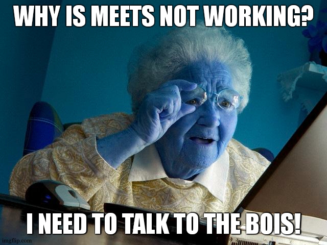 why | WHY IS MEETS NOT WORKING? I NEED TO TALK TO THE BOIS! | image tagged in memes,grandma finds the internet | made w/ Imgflip meme maker