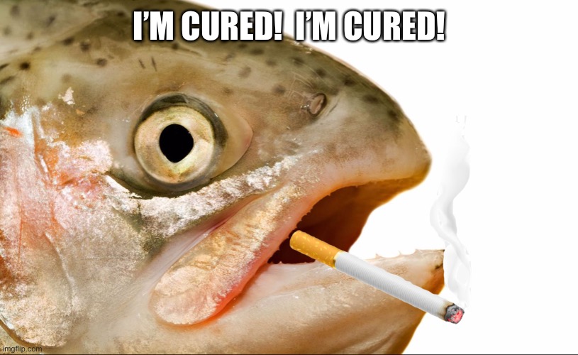 Statement salmon | I’M CURED!  I’M CURED! | image tagged in statement salmon | made w/ Imgflip meme maker