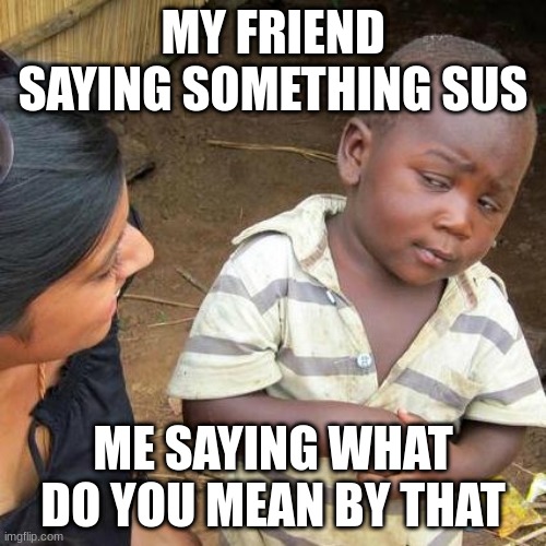 raised eyebrow | MY FRIEND SAYING SOMETHING SUS; ME SAYING WHAT DO YOU MEAN BY THAT | image tagged in memes,third world skeptical kid | made w/ Imgflip meme maker