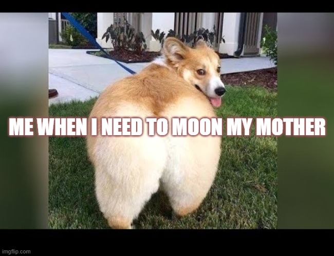 moon | ME WHEN I NEED TO MOON MY MOTHER | image tagged in funny memes | made w/ Imgflip meme maker