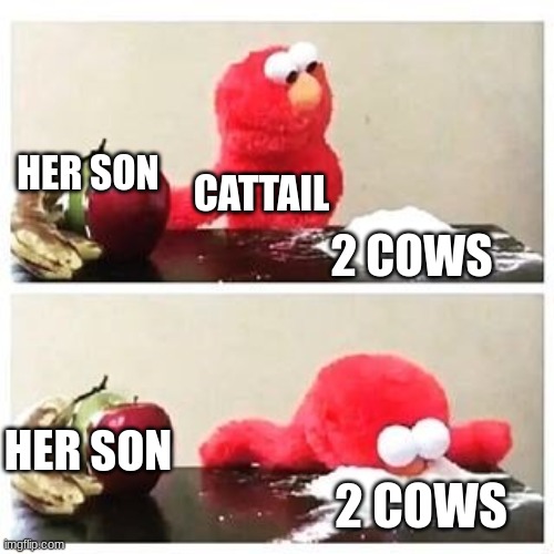 food >>>> children | HER SON; CATTAIL; 2 COWS; HER SON; 2 COWS | image tagged in elmo cocaine | made w/ Imgflip meme maker