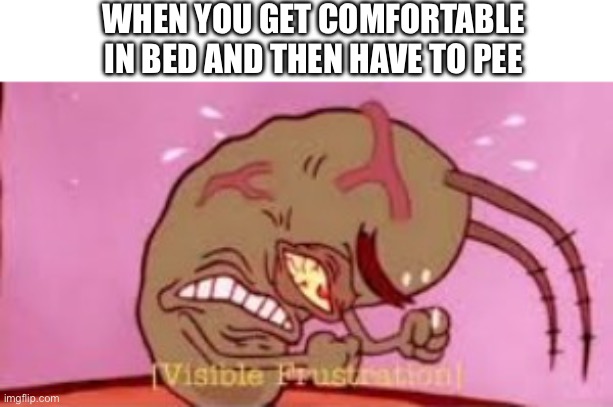 Where anger comes from | WHEN YOU GET COMFORTABLE IN BED AND THEN HAVE TO PEE | image tagged in visible frustration,plankton,plankton maximum overdrive | made w/ Imgflip meme maker