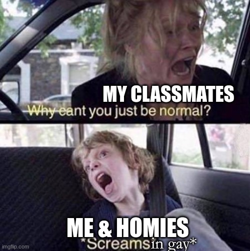 Why Can't You Just Be Normal | MY CLASSMATES; ME & HOMIES; in gay* | image tagged in why can't you just be normal | made w/ Imgflip meme maker
