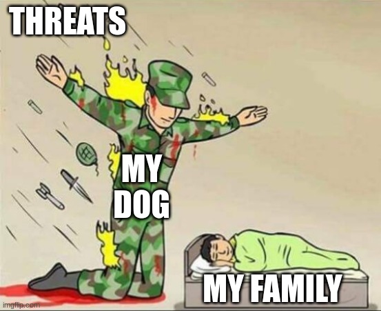 my dog will protect us from anything | THREATS; MY DOG; MY FAMILY | image tagged in soldier protecting sleeping child | made w/ Imgflip meme maker
