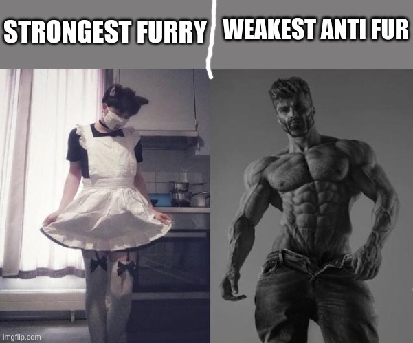 yeyey | STRONGEST FURRY; WEAKEST ANTI FUR | image tagged in strongest fan vs weakest fan | made w/ Imgflip meme maker