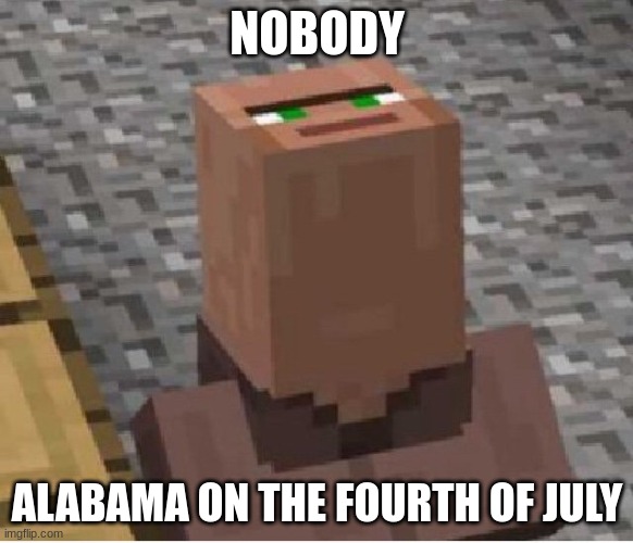 Minecraft Villager Looking Up | NOBODY; ALABAMA ON THE FOURTH OF JULY | image tagged in minecraft villager looking up | made w/ Imgflip meme maker