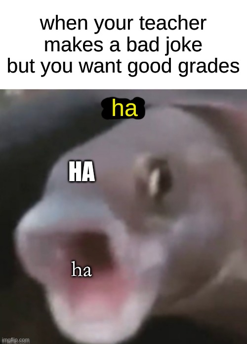 better git gud | when your teacher makes a bad joke but you want good grades; ha; HA; ha | image tagged in poggers fish,memes,dank memes | made w/ Imgflip meme maker