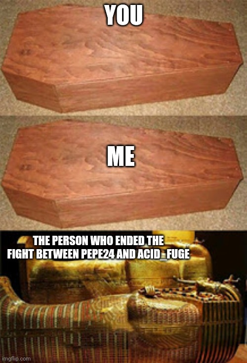 Golden coffin meme | YOU; ME; THE PERSON WHO ENDED THE FIGHT BETWEEN PEPE24 AND ACID_FUGE | image tagged in golden coffin meme | made w/ Imgflip meme maker