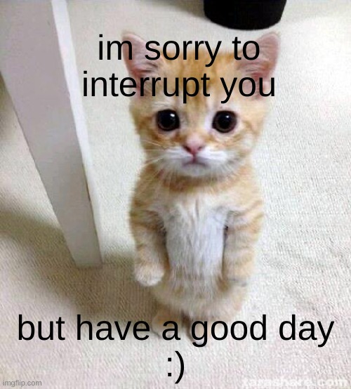 cute:') |  im sorry to interrupt you; but have a good day
:) | image tagged in memes,cute cat | made w/ Imgflip meme maker