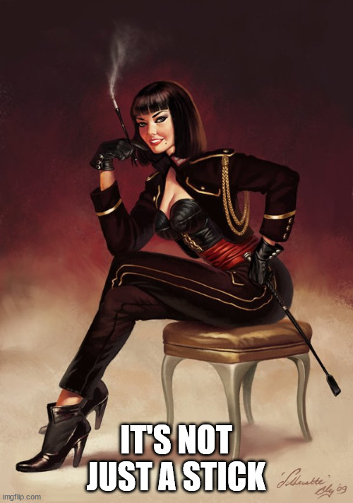 Dominatrix  | IT'S NOT JUST A STICK | image tagged in dominatrix | made w/ Imgflip meme maker