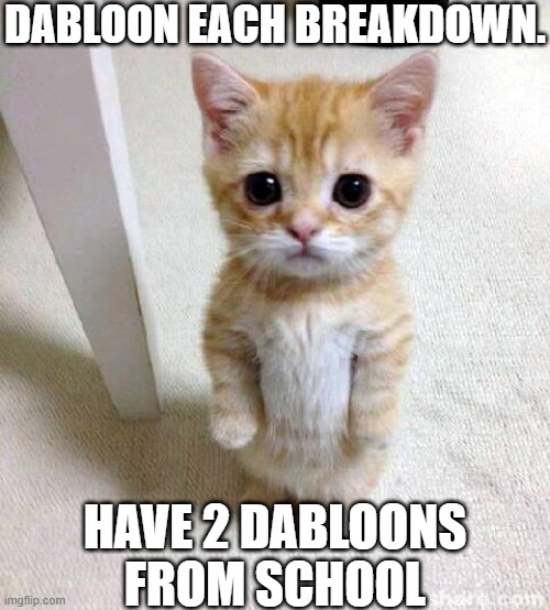 hmm | DABLOON EACH BREAKDOWN. HAVE 2 DABLOONS FROM SCHOOL | image tagged in memes,cute cat | made w/ Imgflip meme maker