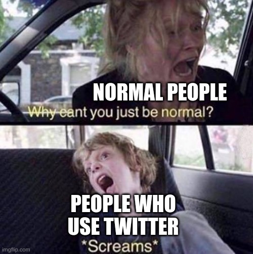 Yes | NORMAL PEOPLE; PEOPLE WHO USE TWITTER | image tagged in why can't you just be normal | made w/ Imgflip meme maker