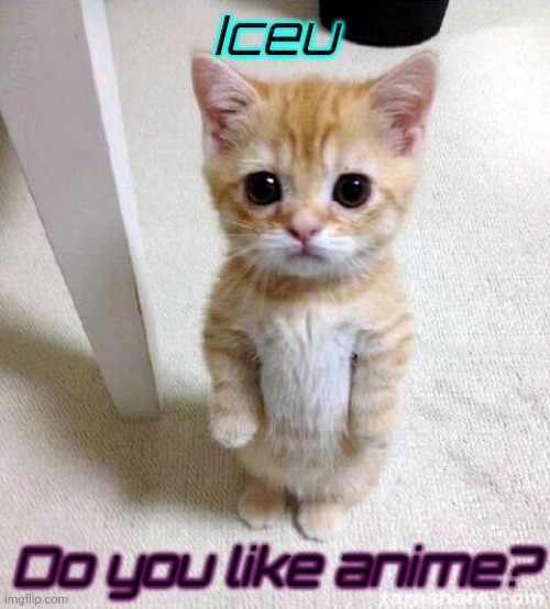 Beans | Iceu; Do you like anime? | image tagged in memes,cute cat | made w/ Imgflip meme maker