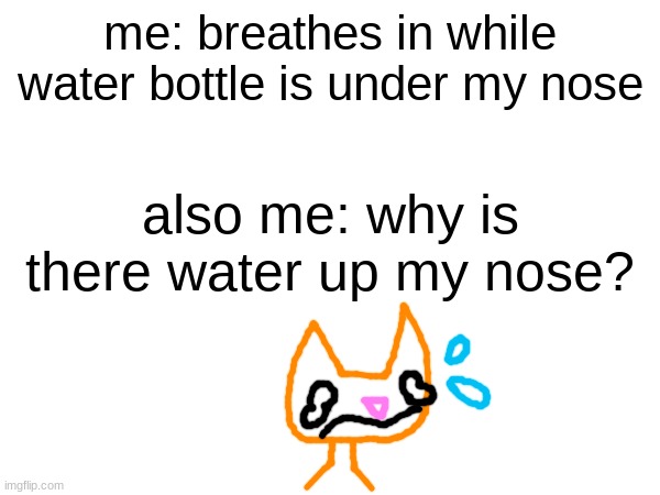 yes, this is how stupid I am | me: breathes in while water bottle is under my nose; also me: why is there water up my nose? | image tagged in water,nose,stupid | made w/ Imgflip meme maker