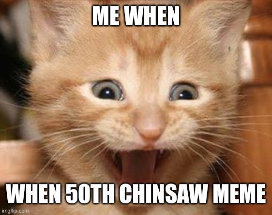 YIPEE 50TH CHINSAW MEME | ME WHEN; WHEN 50TH CHINSAW MEME | image tagged in memes,excited cat | made w/ Imgflip meme maker