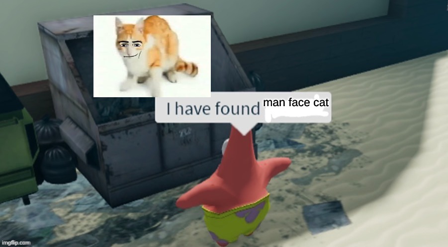 idk what i did | man face cat | image tagged in i have found x | made w/ Imgflip meme maker