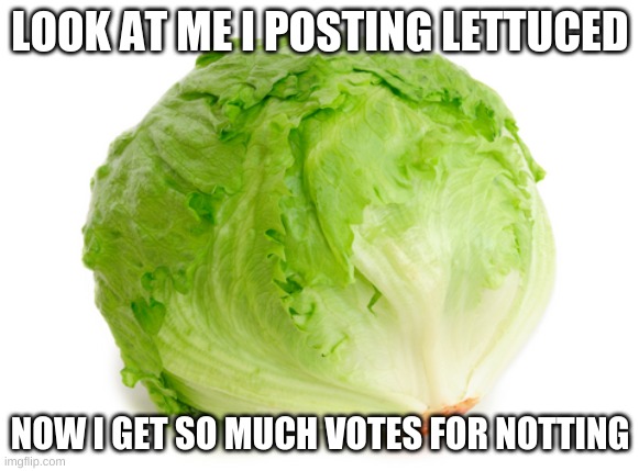 Lettuce | LOOK AT ME I POSTING LETTUCED; NOW I GET SO MUCH VOTES FOR NOTTING | image tagged in lettuce,fun | made w/ Imgflip meme maker