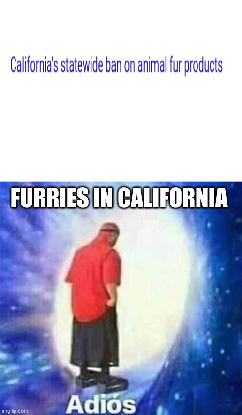 California is now free from furries! | FURRIES IN CALIFORNIA | image tagged in adios,anti furry,no more | made w/ Imgflip meme maker