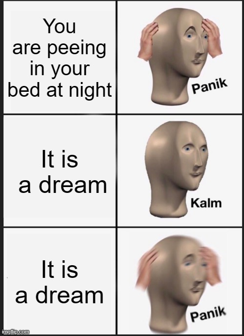 The only dream that becomes true | You are peeing in your bed at night; It is  a dream; It is a dream | image tagged in memes,panik kalm panik | made w/ Imgflip meme maker