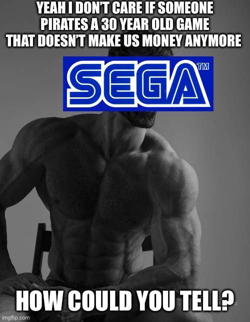 Sera’s cool like this | YEAH I DON’T CARE IF SOMEONE PIRATES A 30 YEAR OLD GAME THAT DOESN’T MAKE US MONEY ANYMORE; HOW COULD YOU TELL? | image tagged in giga chad | made w/ Imgflip meme maker