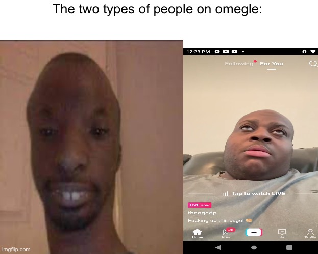The two types of people on omegle: | image tagged in memes,omegle | made w/ Imgflip meme maker