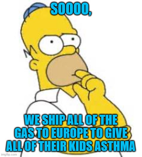 Homer Simpson Hmmmm | SOOOO, WE SHIP ALL OF THE GAS TO EUROPE TO GIVE ALL OF THEIR KIDS ASTHMA | image tagged in homer simpson hmmmm | made w/ Imgflip meme maker