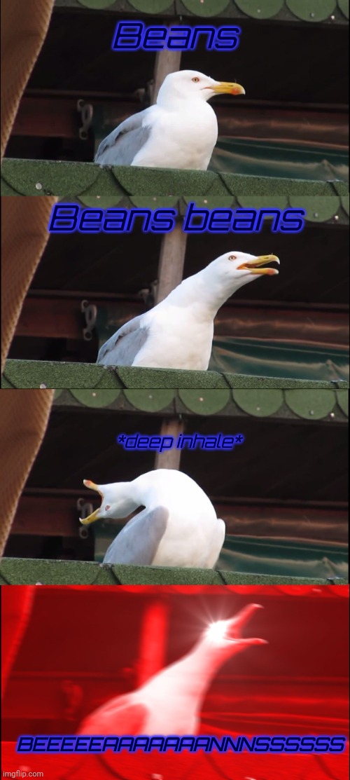 All hail the mighty bean lord | Beans; Beans beans; *deep inhale*; BEEEEEAAAAAAANNNSSSSSS | image tagged in memes,inhaling seagull,beans,beans beans beans | made w/ Imgflip meme maker