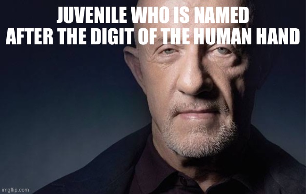 Kid Named | JUVENILE WHO IS NAMED AFTER THE DIGIT OF THE HUMAN HAND | image tagged in kid named | made w/ Imgflip meme maker