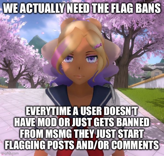 Kashiko Murasaki | WE ACTUALLY NEED THE FLAG BANS; EVERYTIME A USER DOESN’T HAVE MOD OR JUST GETS BANNED FROM MSMG THEY JUST START FLAGGING POSTS AND/OR COMMENTS | image tagged in kashiko murasaki | made w/ Imgflip meme maker