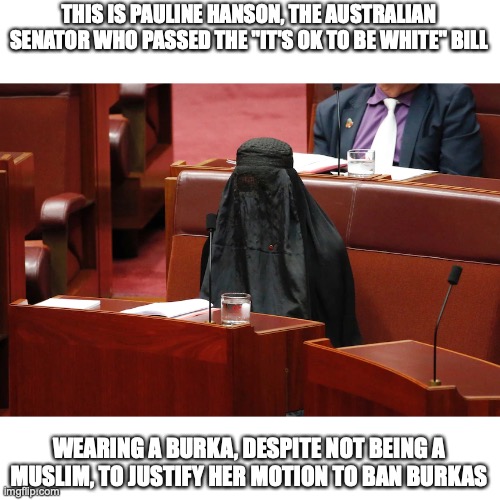 Should we be worried that a bill of the same name has been passed in IP? Yes. | THIS IS PAULINE HANSON, THE AUSTRALIAN SENATOR WHO PASSED THE "IT'S OK TO BE WHITE" BILL; WEARING A BURKA, DESPITE NOT BEING A MUSLIM, TO JUSTIFY HER MOTION TO BAN BURKAS | made w/ Imgflip meme maker