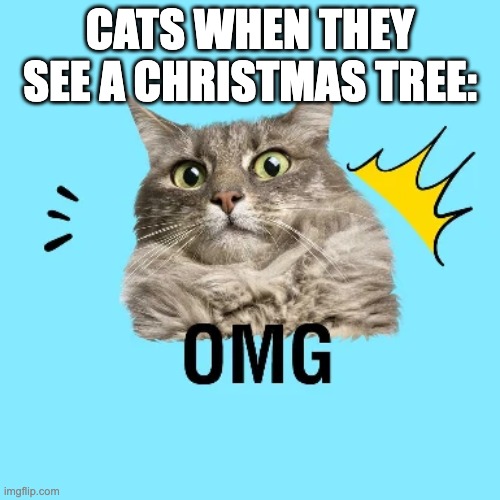 the cats when: | CATS WHEN THEY SEE A CHRISTMAS TREE: | image tagged in cats,christmas tree | made w/ Imgflip meme maker