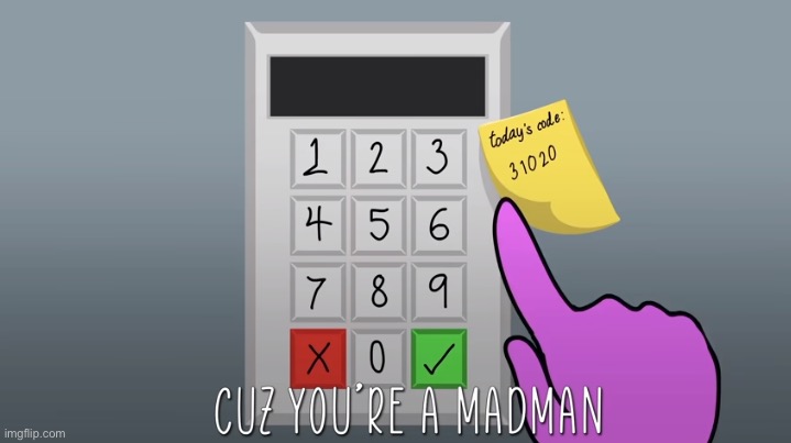 cuz you're a madman | image tagged in cuz you're a madman | made w/ Imgflip meme maker