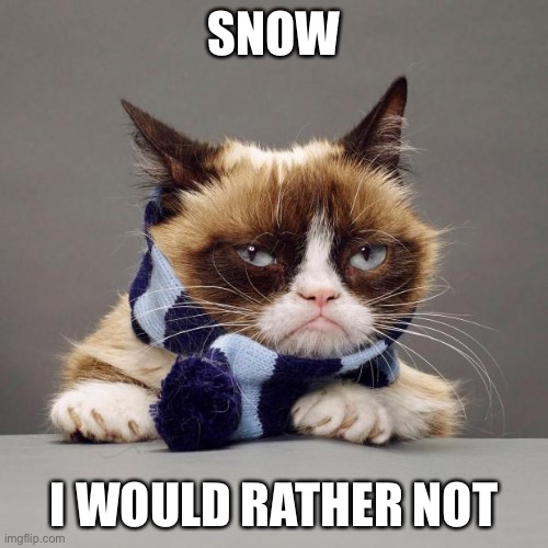 grumpy cat winter | SNOW; I WOULD RATHER NOT | image tagged in grumpy cat winter | made w/ Imgflip meme maker