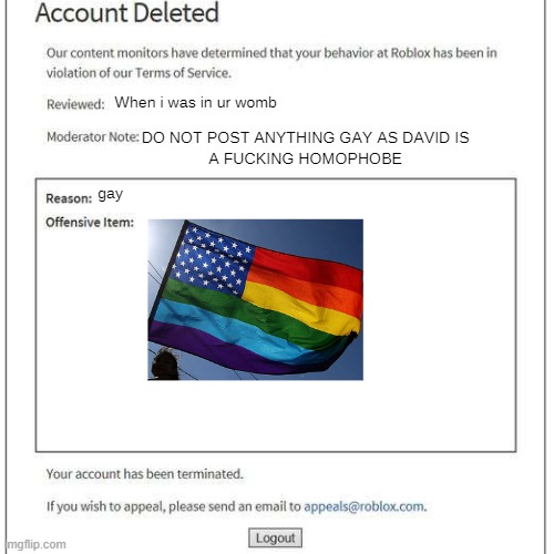 lol ban | image tagged in ban,gay,banned from roblox | made w/ Imgflip meme maker