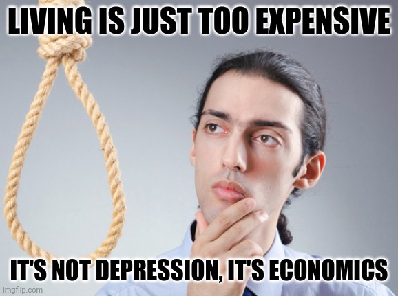 noose | LIVING IS JUST TOO EXPENSIVE; IT'S NOT DEPRESSION, IT'S ECONOMICS | image tagged in noose | made w/ Imgflip meme maker