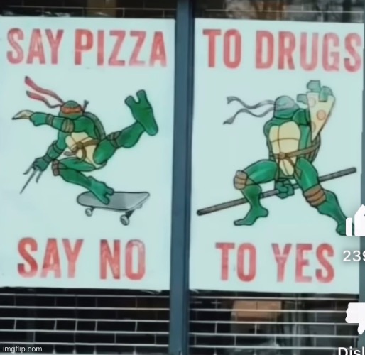 Why | image tagged in drugs,pizza,tmnt | made w/ Imgflip meme maker
